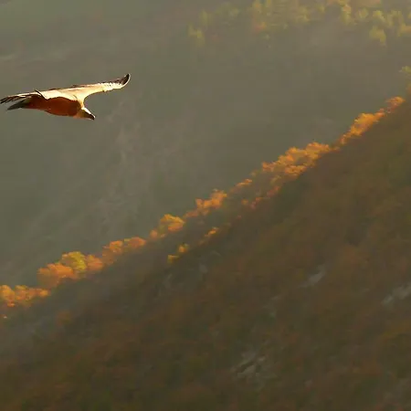 Le Pontias Apartment *